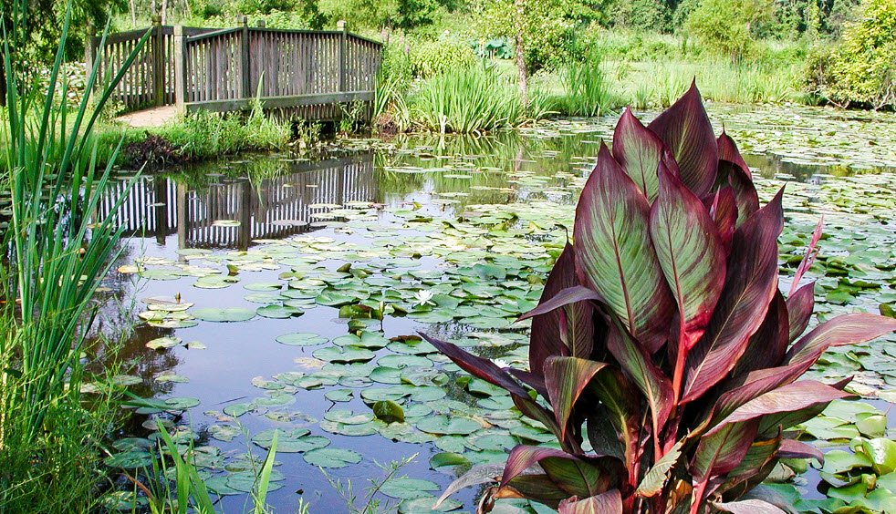 Kenilworth Park and Aquatic Gardens, United States